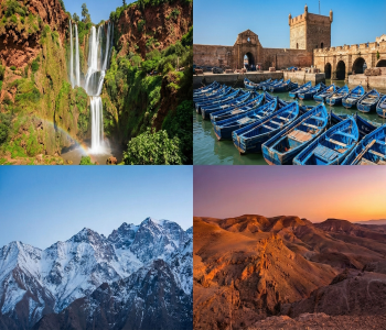 The Great Escape: 5 Best Day Trips from Marrakech (2025 Guide)