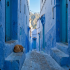 Chefchaouen Guide: 24 Hours in Morocco’s "Blue Pearl" (The Honest Truth)